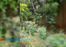 vacant lot for sale in sun valley subd. paraÑaque city