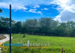 residential lot for sale in ayala greenfield estates