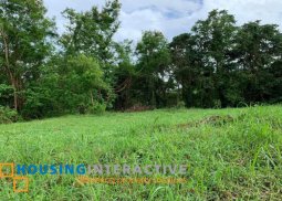 vacant lot for sale at ayala greenfield estates lot