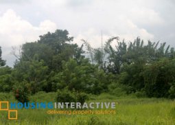 lot for sale in severina subdivision