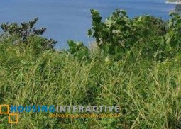 lot for sale in punta fuego
