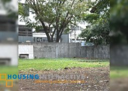 lot for sale in paseo de magallanes