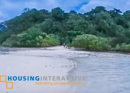 island for sale in siargao