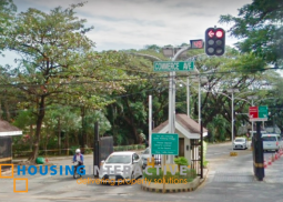 prime lot for sale in ayala alabang village