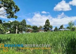 lot for sale in avida parkway settings