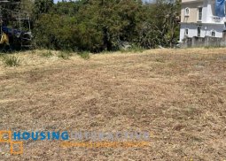 lot for sale in ayala alabang, guava st.