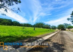 lot for sale in ayala greenfield estates