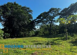 lot for sale in calamba laguna