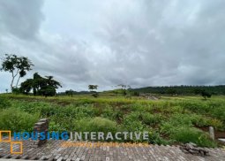 lot for sale in sta. rosa laguna