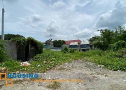 lot for sale in sucat paranaque