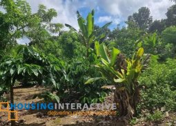 agricultural lot for sale in silang cavite