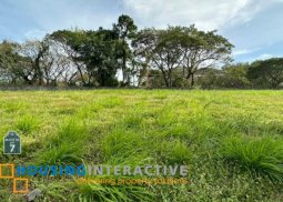 lot for sale in alabang west