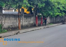 lot for sale only