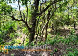for sale lot in tali beach batangas