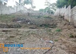 great investment in one of the best islands in the philippines