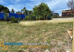 lot for sale - ayala alabang village