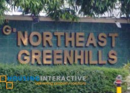a vacant lot for sale in northeast greeenhills