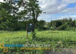 lot for sale - santierra | ayala land premier