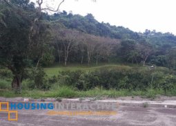 vacant lot for sale in phase 4 sun valley antipolo