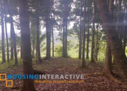 agricultural land for sale - laguna