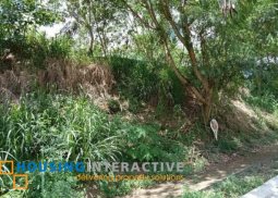 prime lot for sale at the racha mansions at southforbes