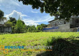 lot for sale - susana heights