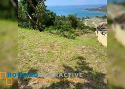 cliff lot for sale at terrazas de punta fuego