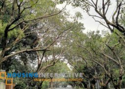 5br house for rent in dasmarinas village