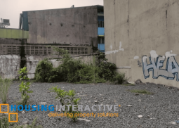 commercial lot for rent in south triangle, quezon city