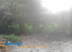 residential lot for sale in project 6 quezon city
