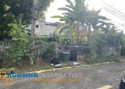 lot for sale in bf homes executive village, paranaque