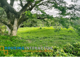 prime lot  for sale at wedgewoods subdivision silang, cavite near ayala westgrove