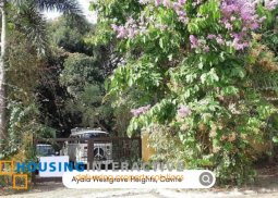 lot for sale in ayala westgrove heights, cavite