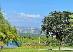 lot for sale in ayala greenfield estates