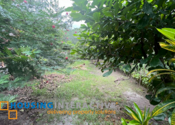 beach lot for sale at pandaquit, san antonio, zambales