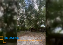 beach lot for sale at liwliwa, san felipe, zambales