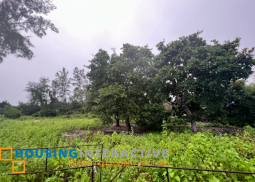 beach lot for sale at sindol, san felipe, zambales