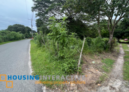 farm lot for sale at pundaquit, san antonio, zambales