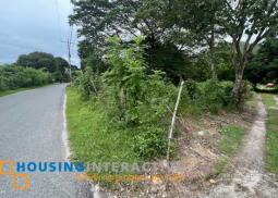 farm lot for sale at pundaquit, san antonio, zambales