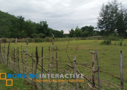 farm lot for sale at pundaquit, san antonio, zambales