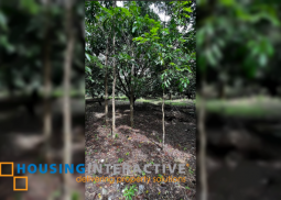 farm lot for sale at pundaquit, san antonio, zambales