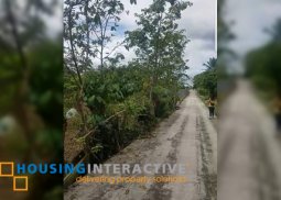 lot for sale at casile, tagaytay