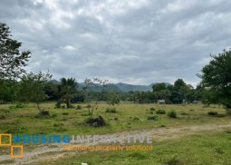 farm land for sale in san juan batangas