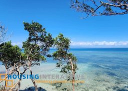 beautiful beach lot for sale in san juan, batangas