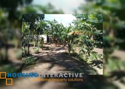 lot for sale at tamacan, amadeo, cavite