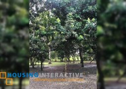 farm lot for sale at san pablo, laguna