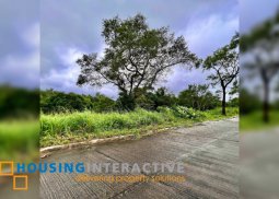 vacant lot for sale at alfonso, cavite