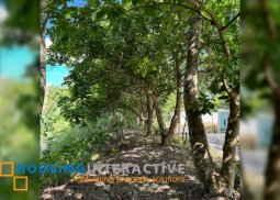 lot for sale in alfonso, cavite near tagaytay