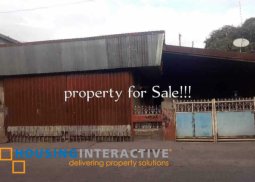 lot for sale at binan, laguna