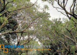 house for lease in dasmarinas village